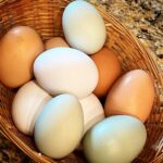 Camilla Belle Instagram - 🐥🏀👯‍♀️🥚👶☕️🌹