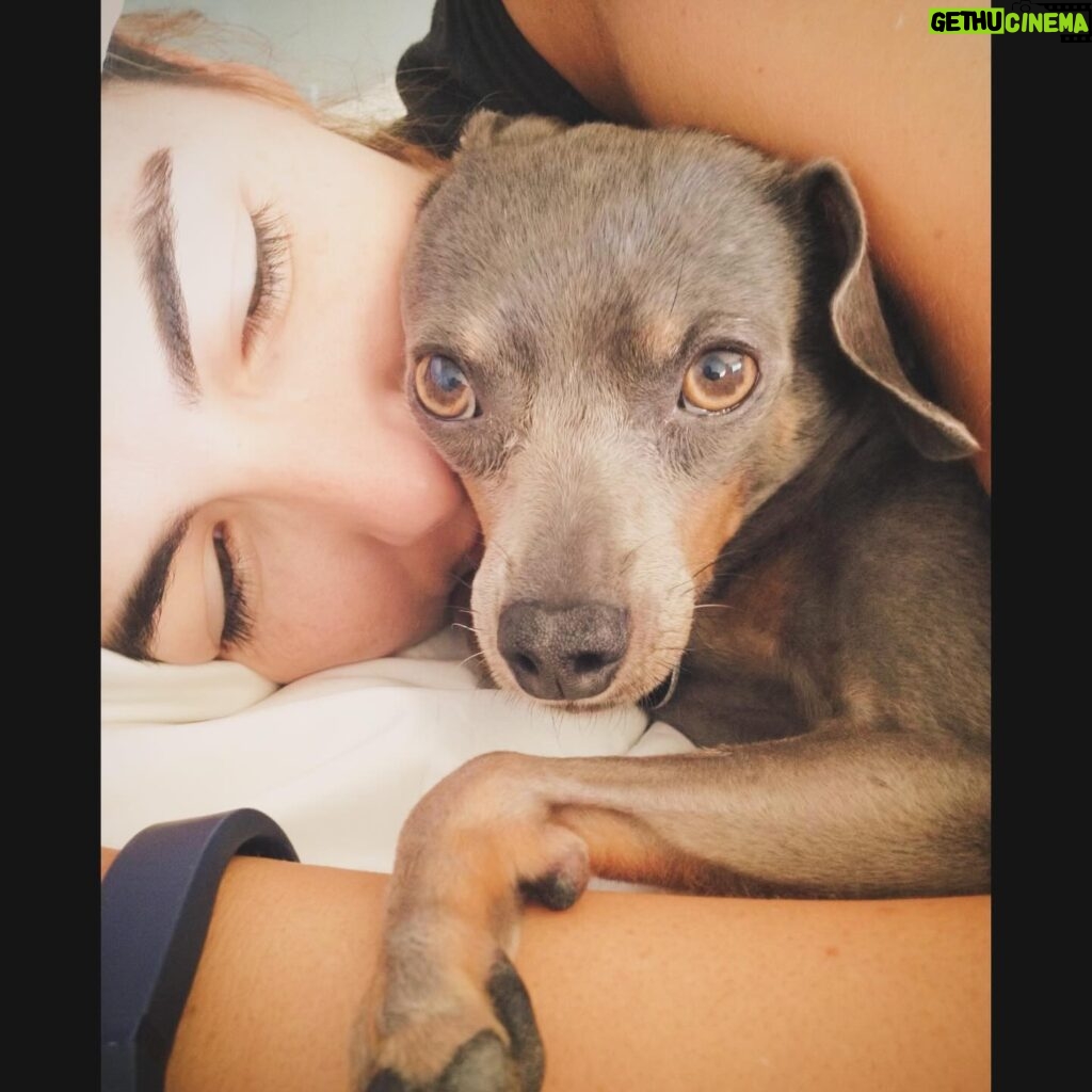 Camilla Belle Instagram - Nem posso acreditar que hoje faz um ano… um ano desde que ela virou um anjinho no céu … Como eu sinto a falta dela. Ainda da um dor no peito insuportável, mas eu sei que ela não gostaria que eu ficasse triste. Preciso seguir em frente celebrando sua vida e guardando as memórias com um sorriso no rosto 🧡 I can’t believe a year ago today we had to say goodbye to Evolet…a year ago today she became an angel… I miss her so very much, but I know she would want us to celebrate her life and look back on the memories together with a smile…