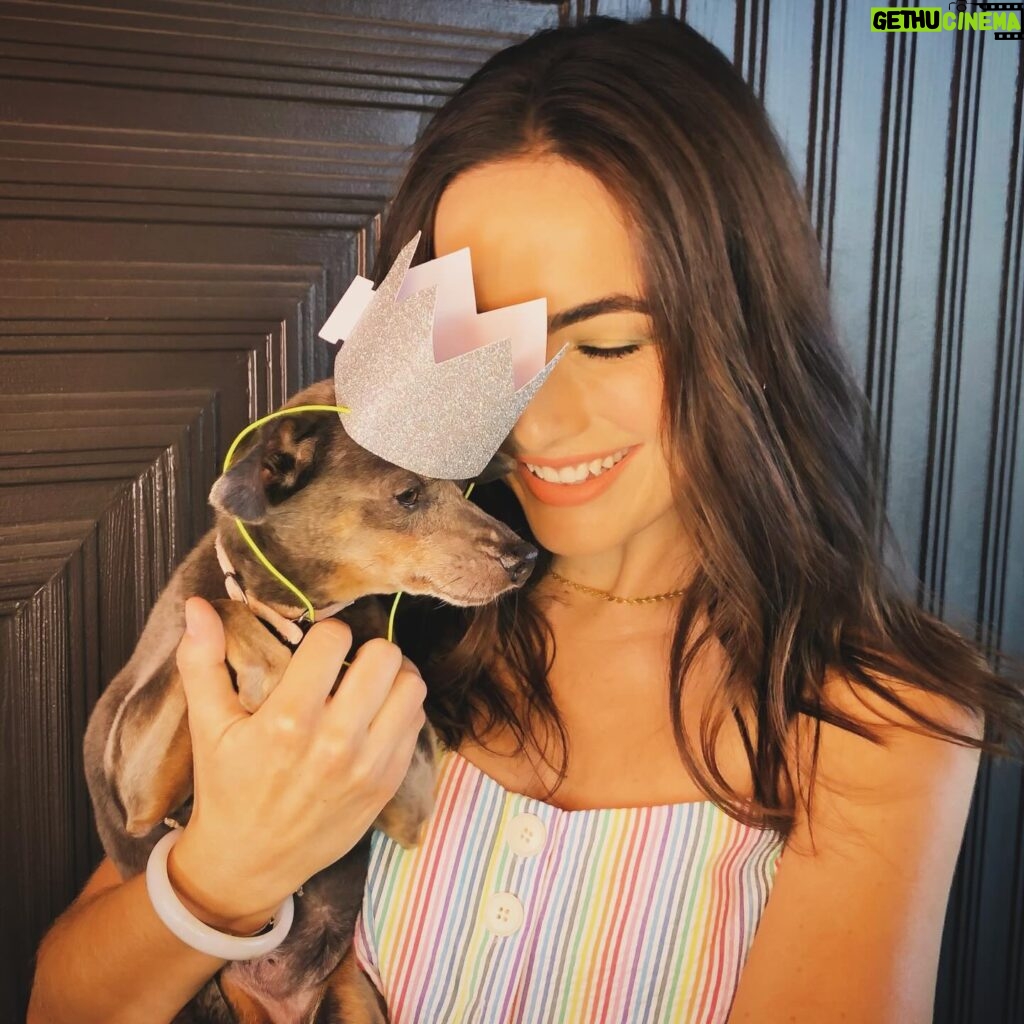 Camilla Belle Instagram - Nem posso acreditar que hoje faz um ano… um ano desde que ela virou um anjinho no céu … Como eu sinto a falta dela. Ainda da um dor no peito insuportável, mas eu sei que ela não gostaria que eu ficasse triste. Preciso seguir em frente celebrando sua vida e guardando as memórias com um sorriso no rosto 🧡 I can’t believe a year ago today we had to say goodbye to Evolet…a year ago today she became an angel… I miss her so very much, but I know she would want us to celebrate her life and look back on the memories together with a smile…