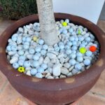 Camilla Läckberg Instagram – Samlingen växer med golfbollar som slås in på vår terass. 🤣 Ser det som ett spänningsinslag i tillvaron. 🤷🏻‍♀️🤣 #CasaDePapel