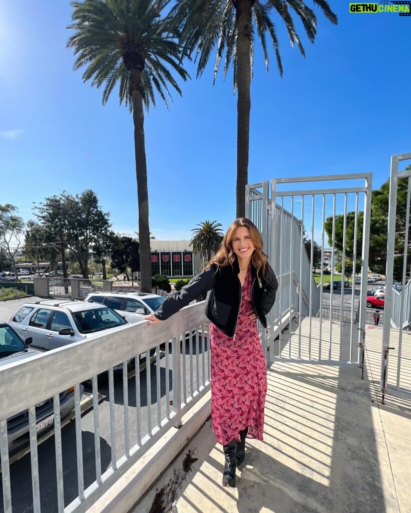 Candace Nelson Instagram - @sharktankabc heads back to high school ⏮️📓🚌 Rendondo Union High School welcomed me, @kevinolearytv and @robertherjavec to speak to its students about our Shark Tank experiences, entrepreneurship, self-confidence and chasing your dreams. I am fortunate to be able to speak to a broad range of professional organizations, trade associations, corporate audiences and colleges around the country. Getting a chance to inspire this auditorium of entrepreneurial high schoolers however, was a uniquely rewarding experience! Where should we head next? 🦈😉 #motivationalspeaking #publicspeakers #sharktank #sharktankabc #abcsharktank #youngentrepreneurs #nextgenerationofleaders #inspirethenextgeneration