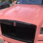 Candice Bergen Instagram - This is a car in Beverly Hills, California. I am afraid for the future.