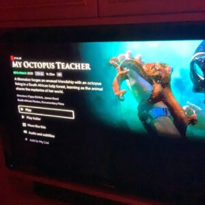 Candice Bergen Instagram - MY OCTOPUS TEACHER is a documentary on NETFLIX now. It is an extraordinary film about the friendship between a man, a very gifted cameraman, and an octopus over the course of a year. It is shot mostly underwater on the Cape of South Africa and gives you access to the world beneath the ocean and it is magnificent. There is the equivalent of a car chase and the longing of a love story; I wept at the end. Do not miss this rare experience. You will owe me.
