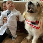Candice Bergen Instagram - Practicing for Halloween. Artie is going as Dr Fauci and Lloyd is his colleague, Dr Deborah Barks who is having some trouble with her hair. Chloe actually ordered a lab coat with Dr Fauci embroidered on it with a tiny tie and wire-rimmed glasses.