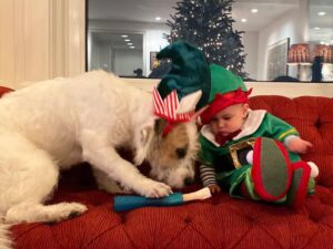 Candice Bergen Instagram - Hey! You’ve eaten the thing that steers the sleigh!! And you haven’t even loaded it yet!! Santa is going to be SO pissed!!!