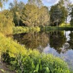 Candice Bergen Instagram - My Measly Pond