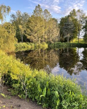 Candice Bergen Instagram - My Measly Pond