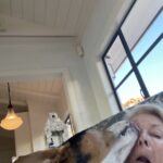 Candice Bergen Instagram - My brother’s dog. Elroy. Not a lapdog but no one’s told him.