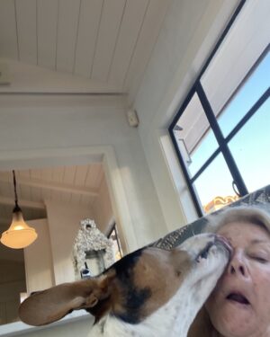 Candice Bergen Instagram - My brother’s dog. Elroy. Not a lapdog but no one’s told him.