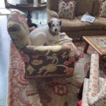 Candice Bergen Instagram - Does this chair make me look fat? Bruce