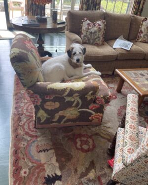 Candice Bergen Instagram - Does this chair make me look fat?
Bruce