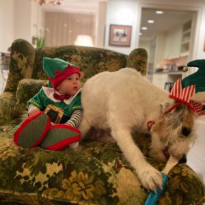 Candice Bergen Instagram - ELF WITH NOT QUITE A REINDEER. IT’S A PANDEMIC.