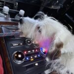 Candice Bergen Instagram - Bruce at the controls.