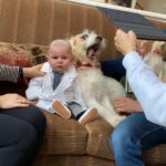 Candice Bergen Instagram - Some feel this verges on child abuse. But Artie is oddly a great sport about it. As opposed to Lloyd who is looking, as usual, for food.