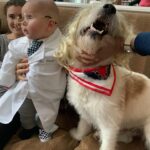 Candice Bergen Instagram - Dr Fauci with a distracted Dr Barks.