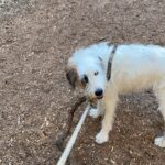 Candice Bergen Instagram - Walk softly and carry a big stick