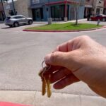 Candice Michelle Instagram - Got the keys to our new home!! The Good Chiropractor ✨House of Healing✨ Coming soon Austin!!!
