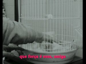 Capicua Instagram - Este ano celebramos os 50 anos da Revolução dos Cravos. 
O 25 de Abril foi providencial para a libertação das mulheres no nosso país e, nestas cinco décadas de democracia, concretizámos enormes conquistas no que diz respeito à igualdade de género. 
Muito mudou em Portugal em termos de liberdades, direitos consagrados, escolarização, presença no mercado de trabalho e independência financeira das mulheres.  

Há que celebrar o caminho feito, mas importa relembrar que nunca podemos dar essas conquistas como garantidas (!!!) e que temos ainda muito a fazer para que a igualdade seja plena e para todas. (Sobretudo dentro de casa).

#queforçaéessaamiga
LYRIC VIDEO JÁ NO YOUTUBE 💜❤️
LINK NOS DESTAQUES 💜❤️