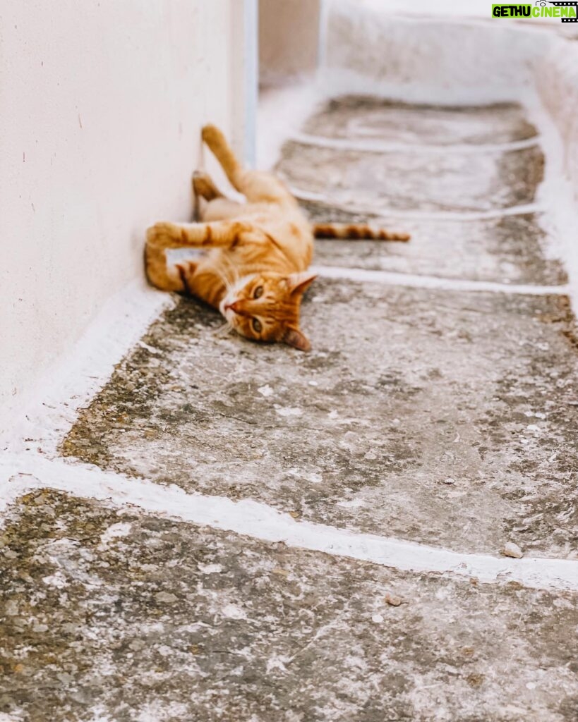 Cariba Heine Instagram - Second last one!(😭) This is another trick question; 1-7 are one island (hint because you’ve really gotta know these islands to pick it: we had a very good view of Naxos), 8 & 9 are a tiny slice of a bigger destination we didn’t have a lot of time in but got to see some more family. That. Lake. Good luuuuuccckkkkkk🤍 and big thanks to @thegrecianguide for many many v. Fruitful tips over the last 3 weeks🙏