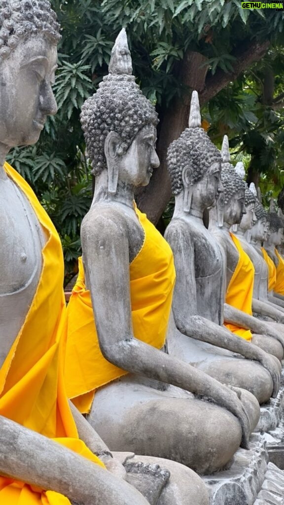 Carlota Corredera Instagram - Excursión Ayutthaya 2a parte 🇹🇭🪷 #tailandia #ayutthaya #templos #budismo @tuguiaentailandia
