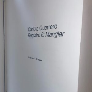 Carlota Guerrero Instagram - PARIS come say hi tomorrow to the opening of my show ‘Registro 6: Manglar’
from 6 to 9pm 🫂 
curated by @marionavaldestorrella 
44 Rue Sainte Anne @sainteannegallery