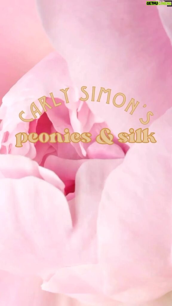 Carly Simon Instagram - Peonies & Silk have arrived! Have a look on my website, link in bio. Limited edition scarves.