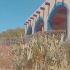 Carmela Zumbado Instagram - Cactus luva 🌵💕 #arizona