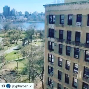 Carmen Ejogo Instagram - Hunkered down in Brooklyn. Could have left New York but this really is home. Going to make it work. 
#makeitwork #ilovenewyork 
#becreative #bekind #besafe #itwasalladream #brooklyn