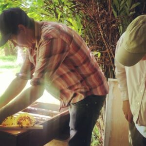 Carmen Ejogo Instagram - Learning about Feral #honeybees on the most isolated land mass on the planet. Trying to act calm so I don’t get stung. Ryan from @kauaibeeteam already stung three times. This swarm is feeling good so they leave me alone 🐝

#savethebees #savetheplanet #pollinators #pure #propolis #honey #beeswax