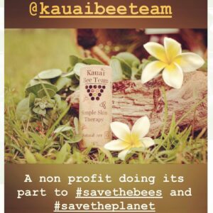 Carmen Ejogo Instagram - Learning about Feral #honeybees on the most isolated land mass on the planet. Trying to act calm so I don’t get stung. Ryan from @kauaibeeteam already stung three times. This swarm is feeling good so they leave me alone 🐝

#savethebees #savetheplanet #pollinators #pure #propolis #honey #beeswax