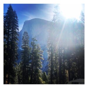 Carmen Ejogo Instagram - @yosemitenps Woke up to this gorgeousness. 
Every day should be #earthday 
#gaia 
@earthdaysf 
#rvlife #rv #love