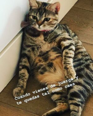 Carmen Porter Instagram - Las mañanas de los domingos son duras!!!! Jajajajaja