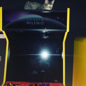 Carmen Porter Instagram - Cuando no encuentras a uno de los gatos y de repente miras hacia arriba!! Encima de la máquina de #arcademadrid