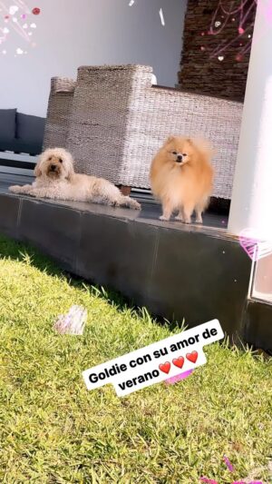 Carmen Porter Instagram - 