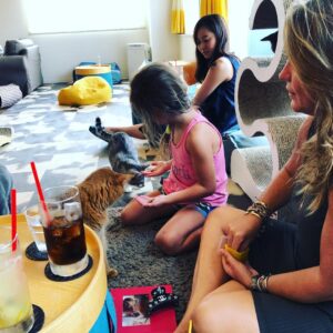 Carmen Porter Instagram - No podemos estar sin gatos!!! En un Coffe Cat!!! También hay Coffe 🦉!!! Coffe🦔!!!Coffe 🐇!!!!