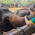 Carmen Arrufat Instagram - Ni una semana aquí y ya es de lejos una de las experiencias más increíbles de mi vida Difícil expresar con palabras lo que estoy viviendo y sintiendo Muy muy agradecida 🌀❤️🐘🇱🇰