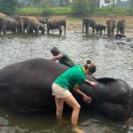 Carmen Arrufat Instagram - Ni una semana aquí y ya es de lejos una de las experiencias más increíbles de mi vida Difícil expresar con palabras lo que estoy viviendo y sintiendo Muy muy agradecida 🌀❤️🐘🇱🇰
