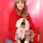 Carmen Becerra Instagram - Hay ladridos que nos llenan el alma ! El día de acción de gracias del 2020 de manera sorpresiva llegó mi amado LUCHO a nuestro hogar, apareció ese día justo a iluminar mi corazón con su compañía .Desde ese día lo miro a los ojos y no dejo de agradecer por su hermosa presencia. LO AMO ! Como no se cuando nació , el día de hoy celebro coincidir con el en esta vida ! ✨🙌🏻❤️ FELIZ CUMPLEAÑOS LUCHO! querido @franciscocalvillofoto gracias por estas preciosas fotos 🙏🏻 #diadeacciondegracias #mybabydog #westie #amorincondicional