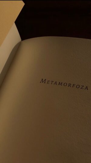 Carol Garcia Instagram - Franz Kafka (1883-1924)
 

. 
#bastidoresteatro #literatura #bookstagram #livrosemaislivros #kafka #franzkafka #escritacriativa #oratoria