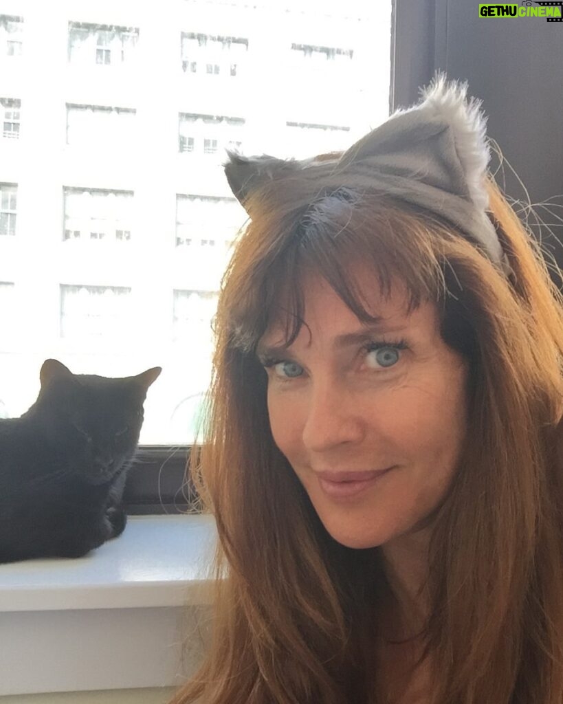 Carol Alt Instagram - Hi there… My apologies for not answering any comments. I tried to get through DM today, but I am distraught over my little kitty JoJo, being diagnosed… I am without words in how much I love my little kitty. And I am focusing all my attention on her for the moment. so please forgive the last few days of not responding to comments. But I have no joy in my heart at the moment.