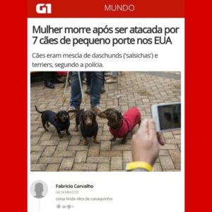 Carolina Zoccoli Instagram - Em quanto tempo os burros vão começar a mugir?