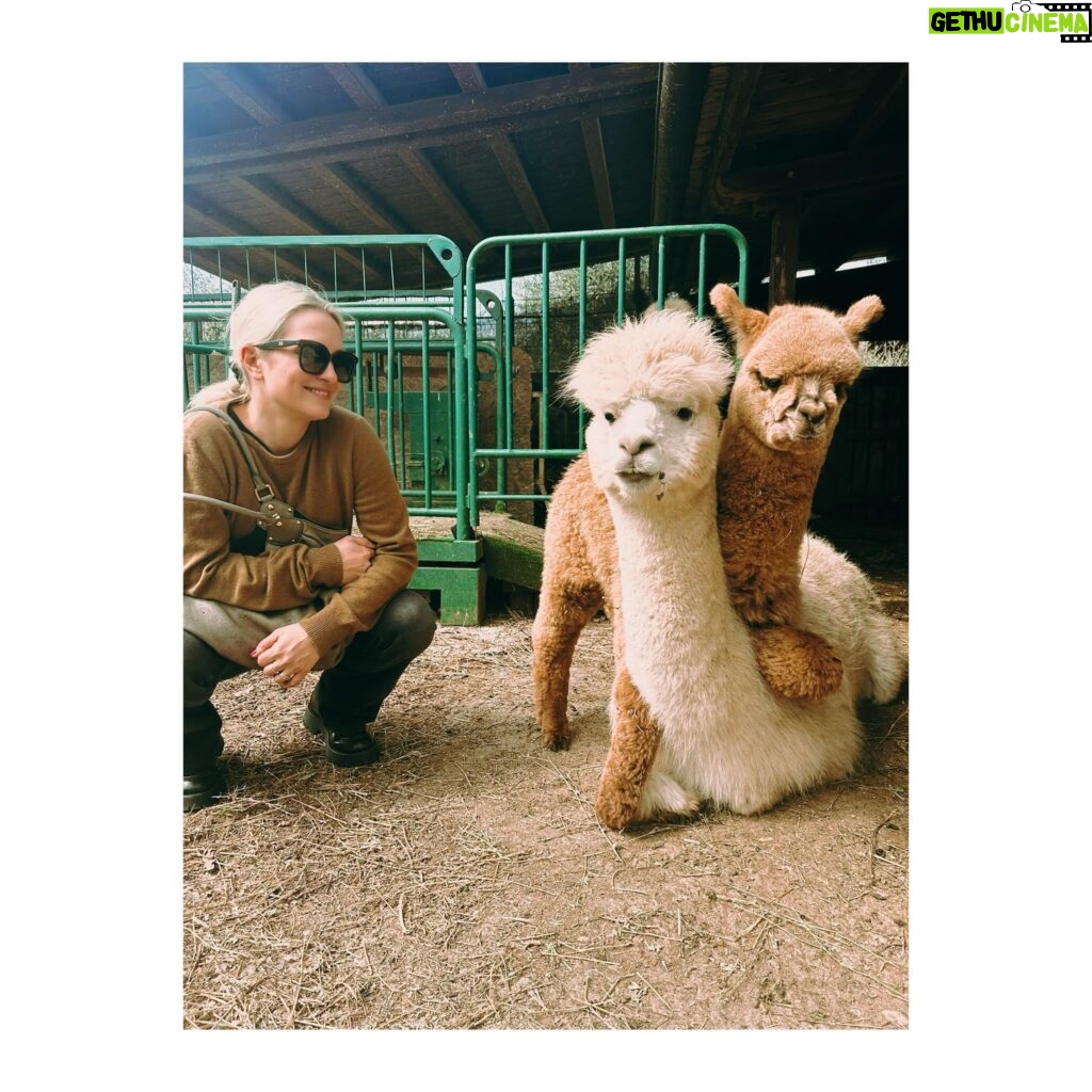 Carolina Crescentini Instagram - Colazione con le ragazze. #nuoviamici #alpaca #avere8anni #me #shh