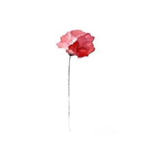 Carolina Crescentini Instagram - Buona liberazione
#25aprile
#resistere