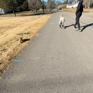 Caroline Hobby Instagram - Big times this thanksgiving. New puppy, Ruby Two. Got our ears pierced, no tears. New lashes, thanks @lashoutnashville 🫶, new blonde thanks @marissadanelle 🫶, great times with family. So much to be thankful for! A little girl w a puppy may be the truest representation of joy I have ever seen. 🥰