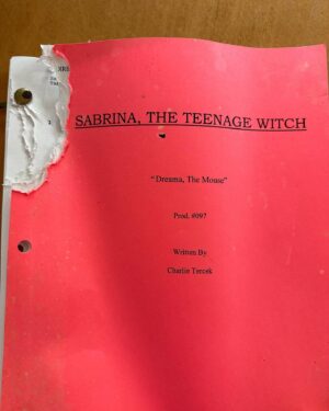 Caroline Rhea Instagram - Proof that mice have both a sense of humor and irony. #sabrinatheteenagewitch was both funny and delicious #90s #tgif
