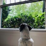 Carrie Brownstein Instagram - Back to the content I prefer.