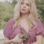 Casey Wilson Instagram - Damnit if AI didn’t make an incredible slideshow from ASS BACKWARDS. We must separate the art from the artist!! (Streaming on Amazon Prime!) Starring legends @junediane @aliciasilverstone @mrjoncryer @vincentdonofrio @briangeraghty13