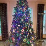 Casey Wilson Instagram - Enough is enough. It’s time. 2 trees of 6 shown. “Hero tree” as @iamkulap calls it and and office tree. I’m deeply unwell!