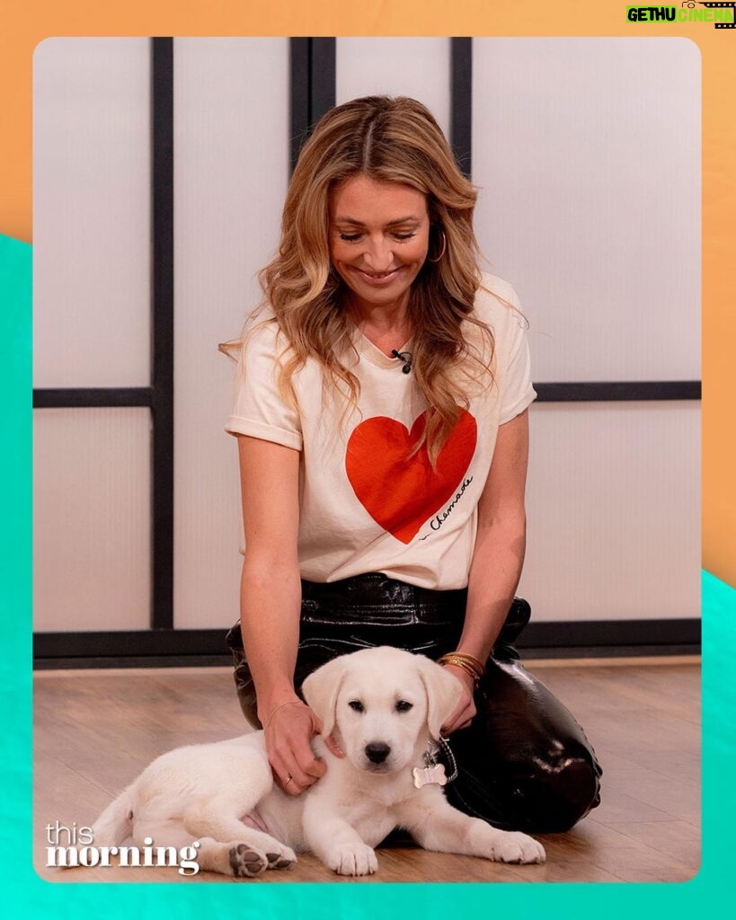 Cat Deeley Instagram - And they call it puppy love! 🐶🤍 Swipe left to pet our adorable Buddy, who’s currently being trained by @dogsforautism.🐾