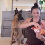 Cat Zingano Instagram - Friends: “Wanna hang out Friday night?” Me: “sorry I can’t, I have plans” 🍿🤗 P.S. I’m getting a lot of messages that I have new accounts reaching out in DMs. Sorry that’s not me 😔 The only Official IG accounts that I have are this one👇🏽, @alphacatzingano111 and my dog’s page @catzdogzz #fridaynight #tgif #dogs #dogsofinstagram #dontgetscammed #fypage